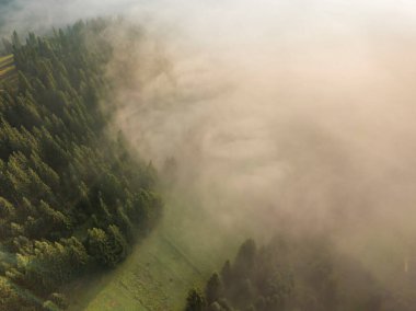 Sis dağ ormanını kaplıyor. Güneşin yükselen ışınları sisi delip geçer. Hava aracı görünümü.