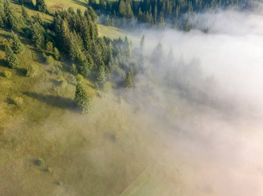 Sis dağ ormanını kaplıyor. Güneşin yükselen ışınları sisi delip geçer. Hava aracı görünümü.