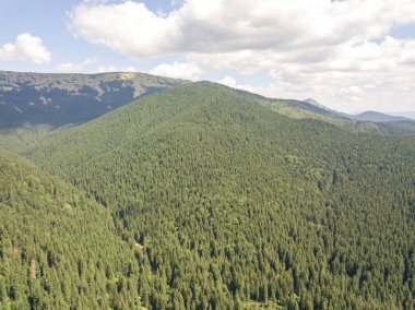 Yazın Ukrayna Karpatları 'nın yeşil dağları. Güneşli bir gün, nadir bulutlar. Hava aracı görünümü.