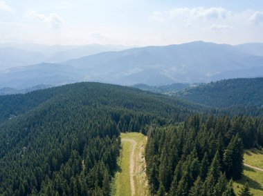Yazın Ukrayna Karpatları 'nın yeşil dağları. Güneşli bir gün, nadir bulutlar. Hava aracı görünümü.