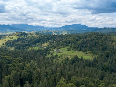 Yazın Ukrayna Karpatları 'nın yeşil dağları. Yamaçlarda kozalaklı ağaçlar. Hava aracı görünümü.