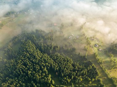 Ukrayna Karpatları 'nda sabah sisi. Hava aracı görünümü.