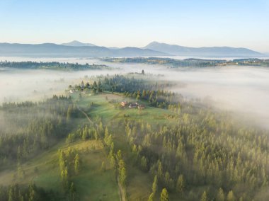 Ukrayna Karpatya dağlarında sabah sisi. Hava aracı görünümü.
