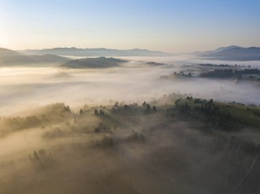 Ukrayna Karpatları 'nda sabah sisi. Hava aracı görünümü.