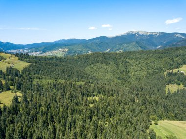 Yazın Ukrayna Karpatları 'nın yeşil dağları. Güneşli açık bir gün. Hava aracı görünümü.