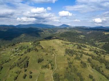 Yazın Ukrayna Karpatları 'nın yeşil dağları. Yamaçlarda kozalaklı ağaçlar. Hava aracı görünümü.