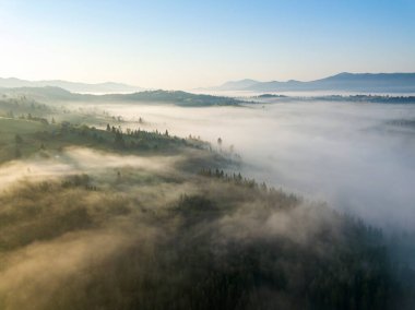 Ukrayna Karpatya dağlarında sabah sisi. Hava aracı görünümü.
