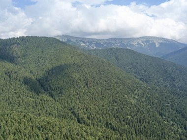 Yazın Ukrayna Karpatları 'nın yeşil dağları. Güneşli bir gün, nadir bulutlar. Hava aracı görünümü.