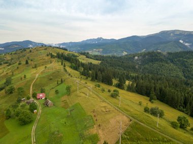 Yazın Ukrayna Karpatları 'nın yeşil dağları. Hava aracı görünümü.