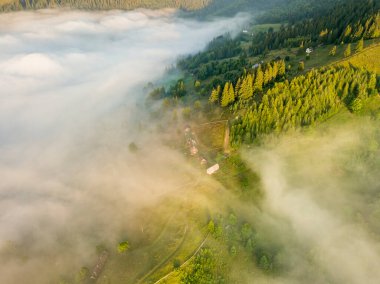 Sis dağ ormanını kaplıyor. Güneşin yükselen ışınları sisi delip geçer. Hava aracı görünümü.