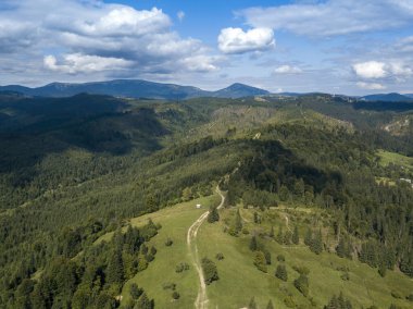 Yazın Ukrayna Karpatları 'nın yeşil dağları. Yamaçlarda kozalaklı ağaçlar. Hava aracı görünümü.