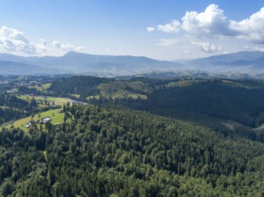 Yazın Ukrayna Karpatları 'nın yeşil dağları. Güneşli bir gün. Hava aracı görünümü.
