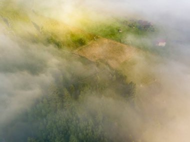 Sis dağ ormanını kaplıyor. Güneşin yükselen ışınları sisi delip geçer. Hava aracı görünümü.