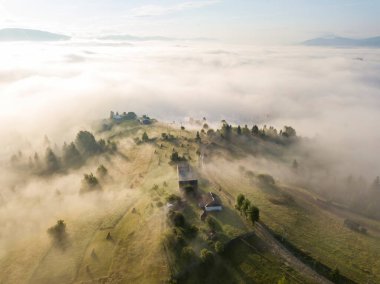 Sis dağ ormanını kaplıyor. Güneşin yükselen ışınları sisi delip geçer. Hava aracı görünümü.