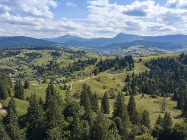 Yazın Ukrayna Karpatları 'nın yeşil dağları. Yamaçlarda kozalaklı ağaçlar. Hava aracı görünümü.
