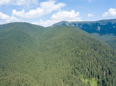Yazın Ukrayna Karpatları 'nın yeşil dağları. Güneşli bir gün, nadir bulutlar. Hava aracı görünümü.