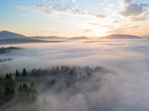 Nevoeiro Matutino Nos Cárpatos Ucranianos Vista Aérea Drones — Fotografia de Stock