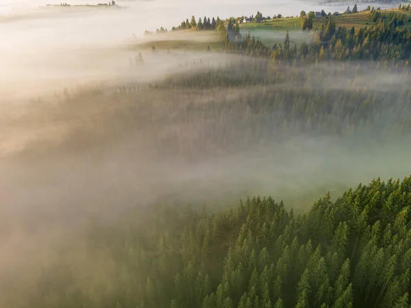 Πρωινή Ομίχλη Στα Ουκρανικά Καρπάθια Βουνά Αεροφωτογραφία Τηλεκατευθυνόμενου — Φωτογραφία Αρχείου