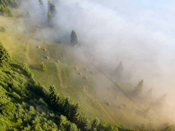 Туман Окутывает Горный Лес Луч Восходящего Солнца Прорывается Сквозь Туман — стоковое фото