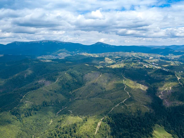 Green Mountains Ukrainian Carpathians Summer Coniferous Trees Slopes Aerial Drone — Stock Photo, Image