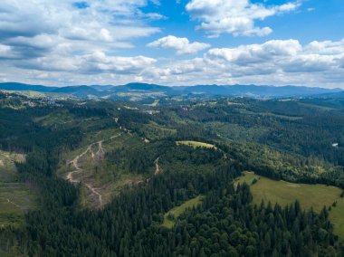 Yazın Ukrayna Karpatları 'nın yeşil dağları. Yamaçlarda kozalaklı ağaçlar. Hava aracı görünümü.