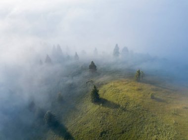 Sis dağ ormanını kaplıyor. Güneşin yükselen ışınları sisi delip geçer. Hava aracı görünümü.