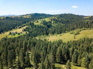 Yazın Ukrayna Karpatları 'nın yeşil dağları. Güneşli açık bir gün. Hava aracı görünümü.