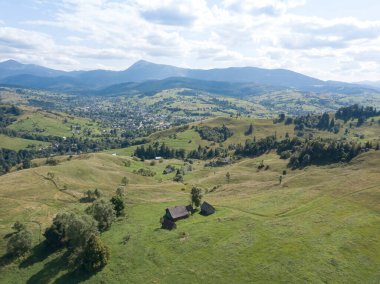Yazın Ukrayna Karpatları 'nın yeşil dağları. Yamaçlarda kozalaklı ağaçlar. Hava aracı görünümü.