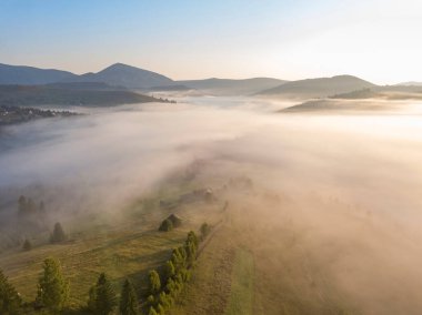Ukrayna Karpatları 'nda sabah sisi. Hava aracı görünümü.
