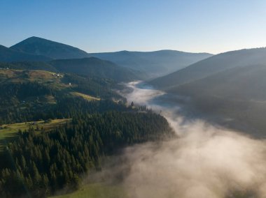 Sabah sisinde Ukrayna Karpatları 'nın yeşil dağları. Hava aracı görünümü.
