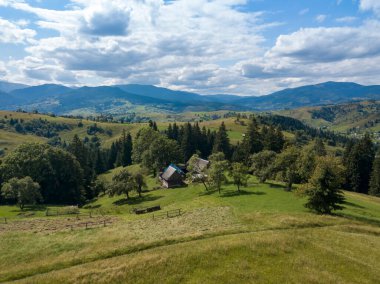 Yazın Ukrayna Karpatları 'nın yeşil dağları. Yamaçlarda kozalaklı ağaçlar. Hava aracı görünümü.