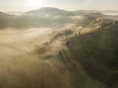 Ukrayna Karpatya dağlarında sabah sisi. Hava aracı görünümü.
