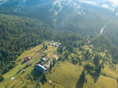 Bir yaz sabahı Ukrayna Karpatları dağları. Hava aracı görünümü.