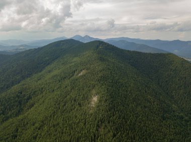 Yazın Ukrayna Karpatları 'nın yeşil dağları. Hava aracı görünümü.