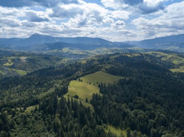 Yazın Ukrayna Karpatları 'nın yeşil dağları. Yamaçlarda kozalaklı ağaçlar. Hava aracı görünümü.
