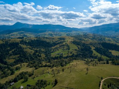 Yazın Ukrayna Karpatları 'nın yeşil dağları. Yamaçlarda kozalaklı ağaçlar. Hava aracı görünümü.