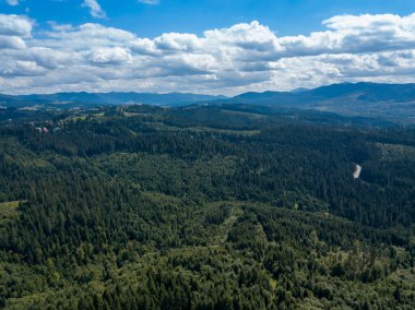 Yazın Ukrayna Karpatları 'nın yeşil dağları. Yamaçlarda kozalaklı ağaçlar. Hava aracı görünümü.