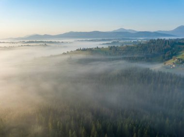 Ukrayna Karpatları 'nda sabah sisi. Hava aracı görünümü.