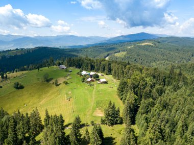 Yazın Ukrayna Karpatları 'nın yeşil dağları. Güneşli bir gün. Hava aracı görünümü.