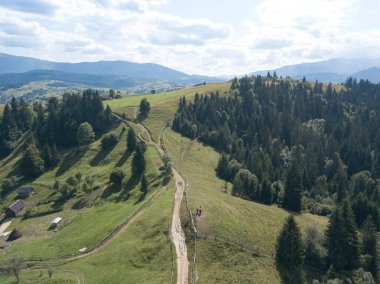 Yazın Ukrayna Karpatları 'nın yeşil dağları. Yamaçlarda kozalaklı ağaçlar. Hava aracı görünümü.
