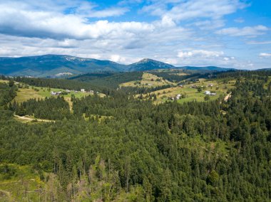 Yazın Ukrayna Karpatları 'nın yeşil dağları. Yamaçlarda kozalaklı ağaçlar. Hava aracı görünümü.