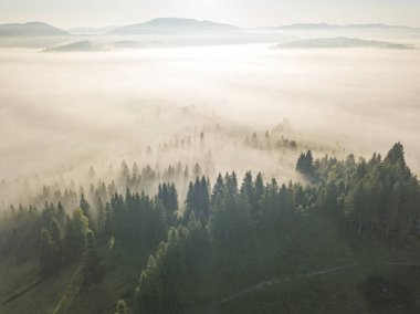 Sabah güneşinin ışınları dağlardaki sislerin arasından. Hava aracı görünümü.