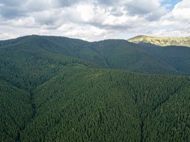 Yazın Ukrayna Karpat Dağları 'nın yeşil yamaçlarında. Bulutlu bir sabah, alçak bulutlar. Hava aracı görünümü.