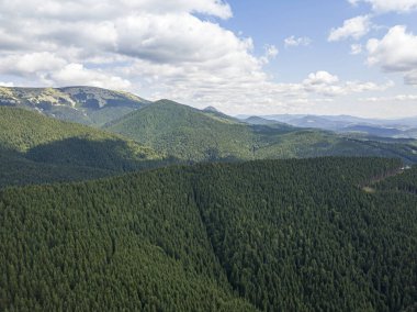 Güneşli havada Ukrayna Karpatlarının yüksek dağları. Hava aracı görünümü.