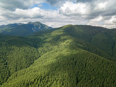 Güneşli havada Ukrayna Karpatlarının yüksek dağları. Hava aracı görünümü.