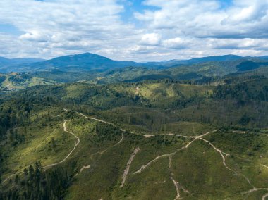 Yazın Ukrayna Karpatları 'nın yeşil dağları. Yamaçlarda kozalaklı ağaçlar. Hava aracı görünümü.