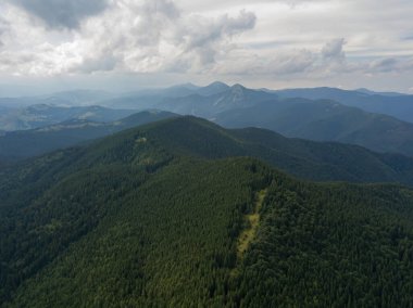 Yazın Ukrayna Karpatları 'nın yeşil dağları. Hava aracı görünümü.
