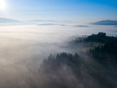 Ukrayna Karpatları 'nda sabah sisi. Hava aracı görünümü.