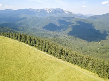 Yazın Ukrayna Karpatları 'nın yeşil dağları. Güneşli bir gün, nadir bulutlar. Hava aracı görünümü.