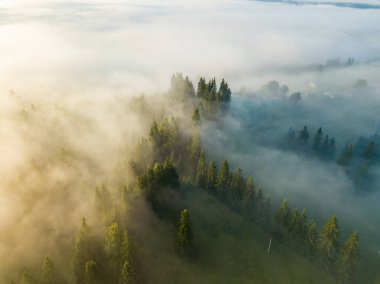 Ukrayna Karpatları 'nda sisli bir yaz sabahı. Hava aracı görünümü.